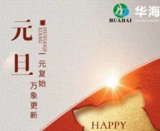 新年献词——喜迎元旦