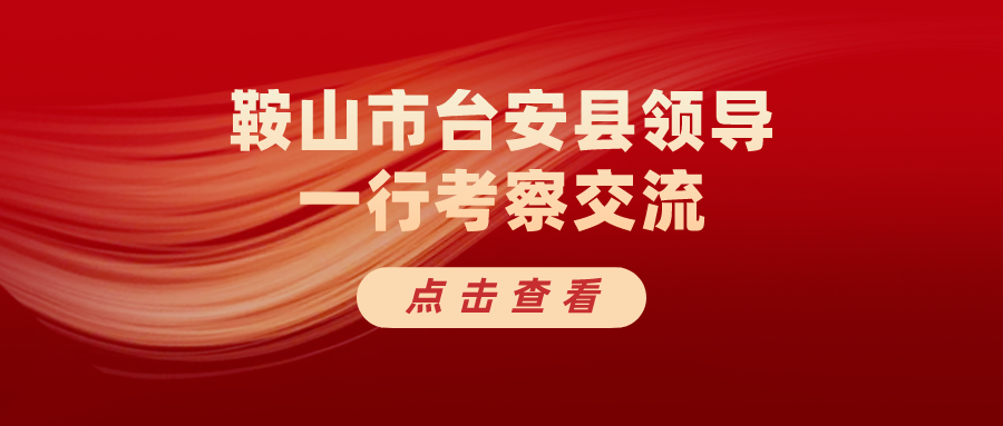 以材为基，多元发展｜鞍山市台安县领导一行考察交流