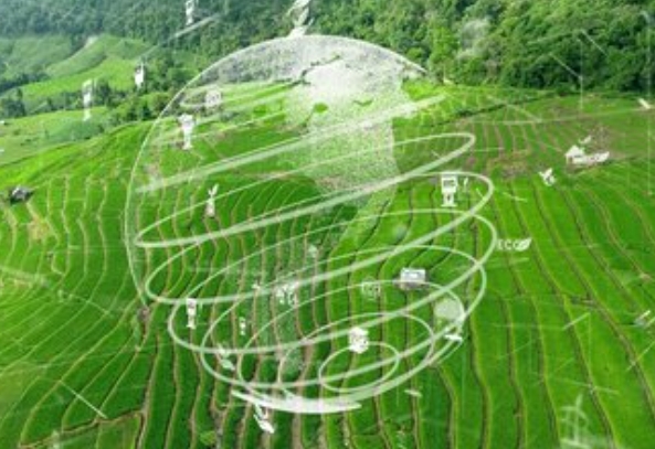 加速形成新质生产力 为碳排放做减法 为科技做加法
